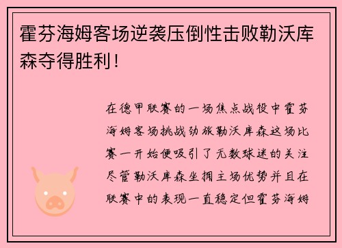 霍芬海姆客场逆袭压倒性击败勒沃库森夺得胜利！