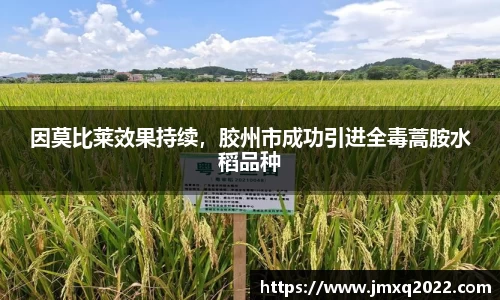 3377体育官网