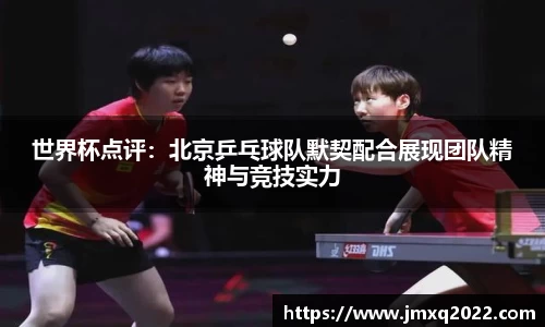 3377体育官网